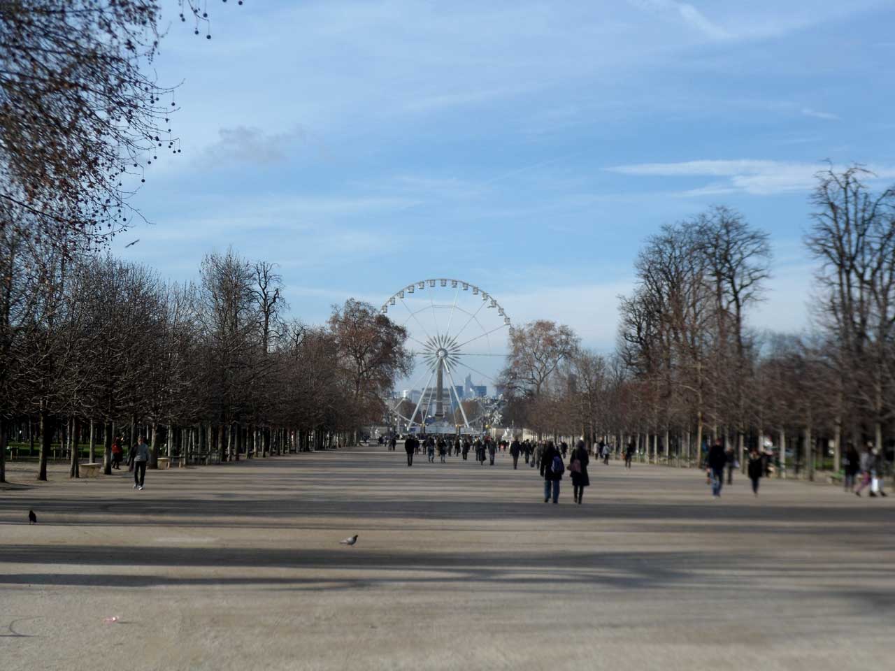 Que visitar en Paris, Jardin de las Tullerias